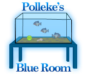 play Polleke'S Blue Room