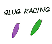 play Slug Racing
