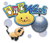 play Cat Wash