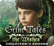 play Grim Tales: The Wishes Collector'S Edition