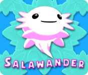 play Salawander