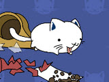 play Playful Kittens