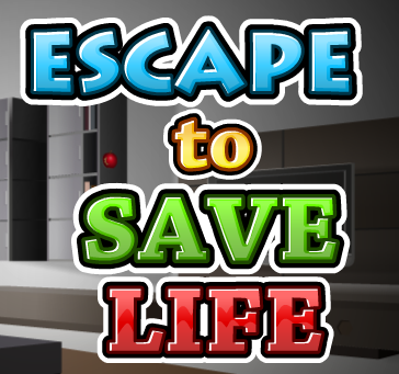 123Bee Escape To Save Life