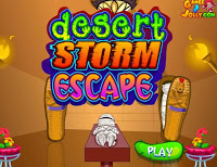 play Desert Storm Escape