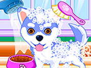 play Puppy And Kitty Salon