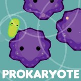 play Prokaryote
