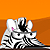 play Safari Time