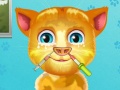 play Talking Ginger Nose Doctor