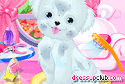 play Cute Puppy Salon