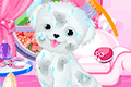 play Cute Puppy Salon