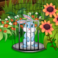 play Cute Easter Bunny Escape