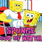 Sponge Out Of Water