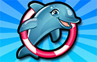 My Dolphin Show 6