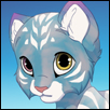 play Kitten Maker
