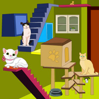 play Cat Room Escape