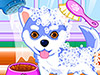 play Puppy And Kitty Salon