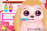 play Baby Hedgehog Salon