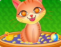 play Cute Cat Care