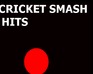 Cricket Smash Hits