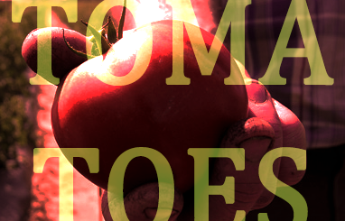 play Tomatoes