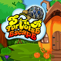 play Star Tortoise Escape