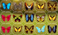 Соедини бабочек во весь экран. Старые игры бабочки. Игра бабочки кубики загадка. Fun игра бабочки. Бабочки на гонках.