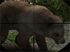 play Animal Hunter 3D