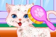 Puppy And Kitty Salon