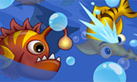 play Hungry Fish