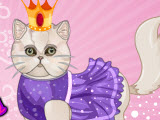 Persian Cat Princess Spa Salon