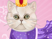 play Persian Cat Spa