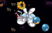 play Amateur Bee