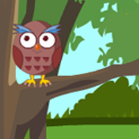 play Red Parrot Escape