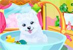 play Fluffy Puppy Care