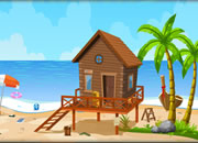 play Sea Tortoise Escape