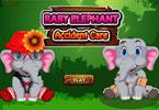 Baby Elephant Accident Care