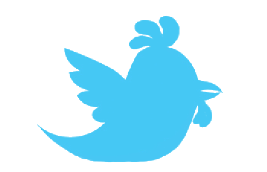 play Social Sass