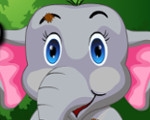 play Baby Elephant Accident Care