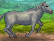 play My Pet Horse Kissing