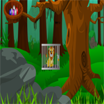 play Little Lion Escape