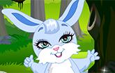 play Fantasy Bunny