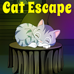 play G4K Cat Escape