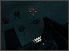 play Insect Shooter