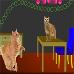 play Escapefan Cats House Escape