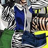 play Play Wild Zebra