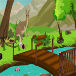 play Kangaroo Escape