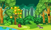 play Little Panda Forest Escape