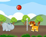 play Volleyball With Animals