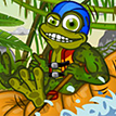 play Rafter Toad