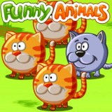 play Funny Animals